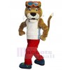 Tigre costume de mascotte