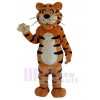 Tigre costume de mascotte