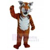 Tigre costume de mascotte