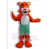 Tigre costume de mascotte