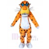 Tigre costume de mascotte