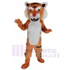 Tigre costume de mascotte