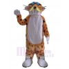 Tigre costume de mascotte