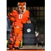 Tigre costume de mascotte