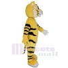 Tigre costume de mascotte