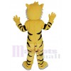 Tigre costume de mascotte