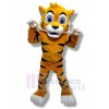 Tigre costume de mascotte