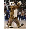 Tigre costume de mascotte