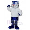 Tigre costume de mascotte