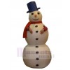 Bonhomme de neige costume de mascotte