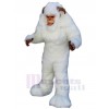 Bonhomme de neige costume de mascotte