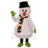 Bonhomme de neige costume de mascotte