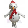 Bonhomme de neige costume de mascotte