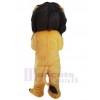 Lion costume de mascotte