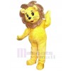 Lion costume de mascotte