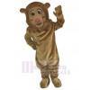 Lion costume de mascotte