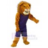 Lion costume de mascotte