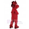 Lion costume de mascotte