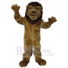 Lion costume de mascotte