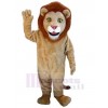 Lion costume de mascotte