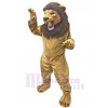 Lion costume de mascotte