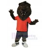 Lion costume de mascotte