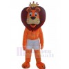 Lion costume de mascotte