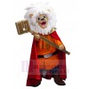 Lion costume de mascotte
