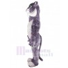 Léopard costume de mascotte
