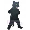 Panthère costume de mascotte