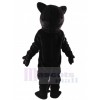 Panthère costume de mascotte