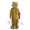 Puma Cougar costume de mascotte