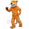 Cougar costume de mascotte