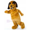 Chien costume de mascotte