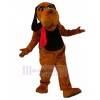 Chien costume de mascotte