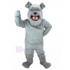 Chien costume de mascotte