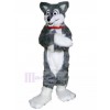 Chien costume de mascotte