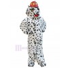 Chien costume de mascotte