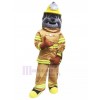 Chien costume de mascotte