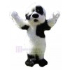 Chien costume de mascotte
