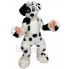 Chien costume de mascotte
