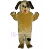 Chien costume de mascotte