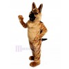 Chien costume de mascotte