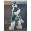 Chien costume de mascotte