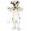 Chien costume de mascotte