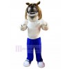 Chien costume de mascotte