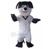 Chien costume de mascotte