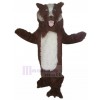 Chien costume de mascotte