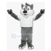 Chien costume de mascotte