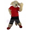 Chien costume de mascotte